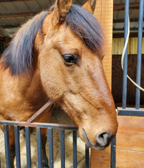 IMG_20220401_134206_510